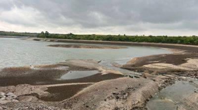 В Херсонской ОВА обновили данные по ущербу окружающей среде из-за подрыва Каховской ГЭС