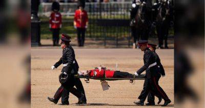 Из-за жары в Лондоне трое гвардейцев потеряли сознание, когда принц Уильям смотрел парад