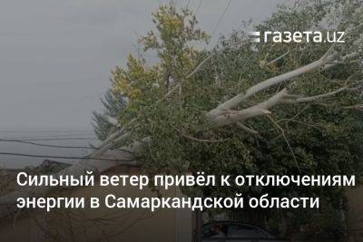 Сильный ветер привёл к отключениям энергии в Самаркандской области