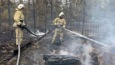 Узбекистан выразил готовность помочь Казахстану в борьбе с лесными пожарами