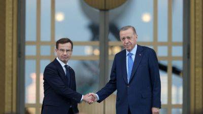 Швеция выдаст Турции одного из критиков Эрдогана