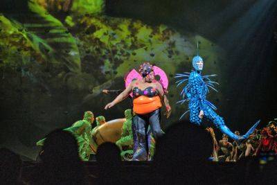 Любопытные факты о Cirque du Soleil и их шоу «Ovo», покорившее Вильнюс