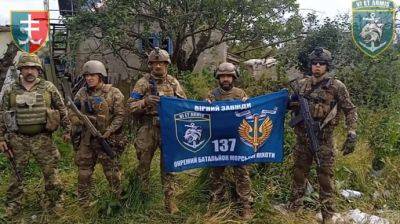 Украинские воины показали кадры из освобожденной Макаровки в Донецкой области