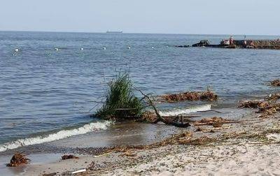 В Одессе соленость моря на пляжах упала почти в три раза - мэрия