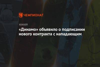 «Динамо» объявило о подписании нового контракта с нападающим