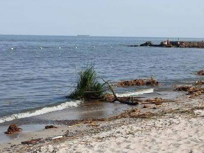 Соленость моря на пляжах Одессы упала почти втрое, загрязнение превышает норму, но холеры нет – горсовет