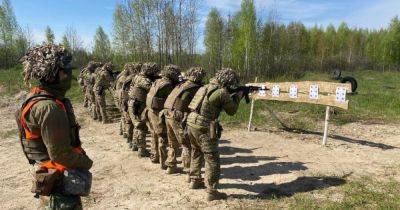 В Украине приняли на вооружение новые бронежилеты и шлемы: что известно