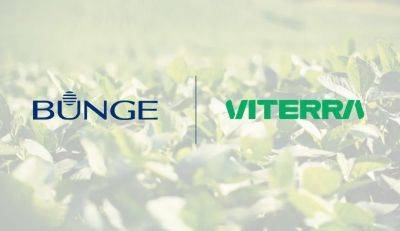 Крупные зерновые трейдеры Bunge и Viterra объявили о слиянии. Стоимость сделки составляет $8,2 миллиарда