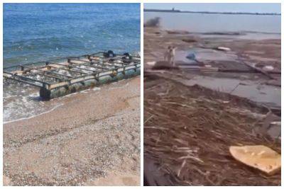 На пляжах Одессы ощущается вся полнота трагедии, которую наделали россияне: экологи бьют тревогу