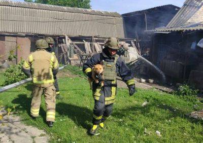 Обстрел села на Харьковщине: бойцы ГСЧС спасли пса во время тушения пожара