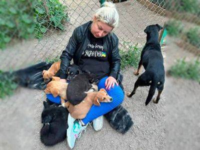 Животных из Херсонской области одесситы забирают домой | Новости Одессы
