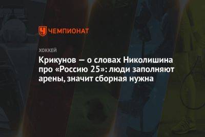 Крикунов — о словах Николишина про «Россию 25»: люди заполняют арены, значит сборная нужна