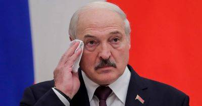 Карманный диктатор Лукашенко пофантазировал о том, как "послал на хрен" украинскую делегацию