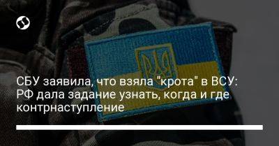 СБУ заявила, что взяла "крота" в ВСУ: РФ дала задание узнать, когда и где контрнаступление