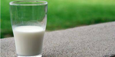 Канада пустила украинскую молочную продукцию на полки своих магазинов