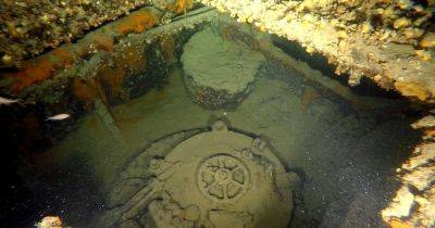 От более 20 тайных операций до трагической судьбы: история гибели подводной лодки "Триумф"