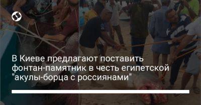 В Киеве предлагают поставить фонтан-памятник в честь египетской "акулы-борца с россиянами"