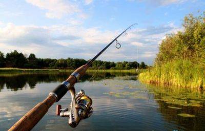 15 июня снимается запрет на вылов рыбы в Одесской области | Новости Одессы