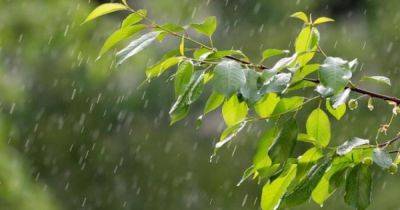Погода в Украине 14 июня: дожди во всех областях, на западе - умеренные с грозами (КАРТА)