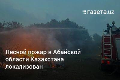 Лесной пожар в Абайской области Казахстана локализован