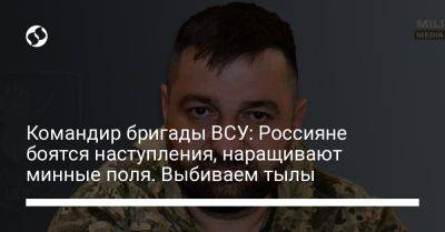 Командир бригады ВСУ: Россияне боятся наступления, наращивают минные поля. Выбиваем тылы