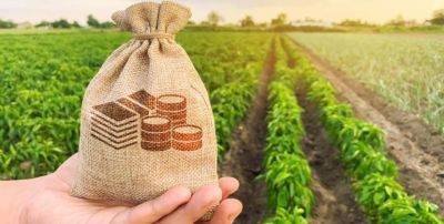С начала года аграрии привлекли почти 37 миллиардов банковских кредитов