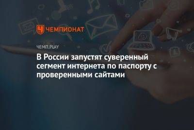 В России запустят суверенный сегмент интернета по паспорту с проверенными сайтами