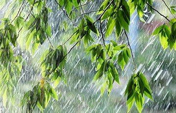 «Может выпасть неприлично много дождя»