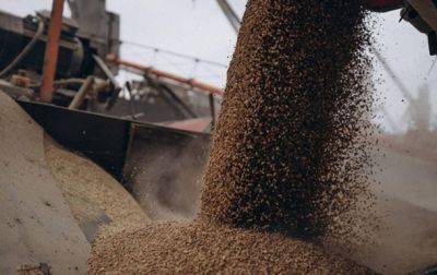 Румыния будет просить продлить ограничения на импорт зерна из Украины - СМИ