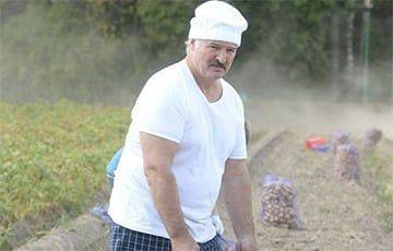 «Лукашенко они почему-то называли «Мистер Бульба»