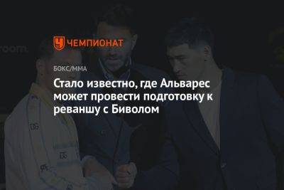 Стало известно, где Альварес может провести подготовку к реваншу с Биволом