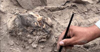 Капсула времени из Лимы. Найдена удивительно сохранившаяся мумия, которой 3 тыс. лет (фото) - focus.ua - Украина - Лима - Перу - Находка