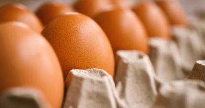 В Украине изменились цены на яйца: где купить самые дешевые