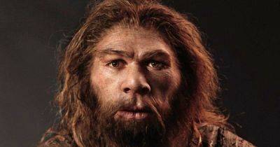 Генетические путешествия во времени: как гены неандертальцев влияют на современного человека - focus.ua - Украина - Англия