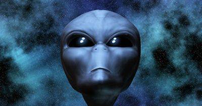Инопланетяне не будут общаться с людьми, у них есть другие друзья на Земле: кто это будет