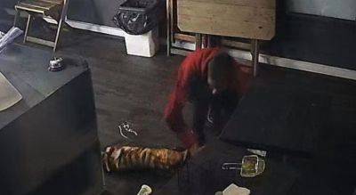 Похитили из кафе мясо для шаурмы - получили 8 лет: "ограбление года" произошло в Киеве, фото - politeka.net - Украина - Киев
