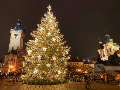 Готовь сани летом: Прага объявила награду за помощь в поисках рождественской ёлки