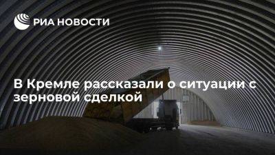 Песков заявил, что работа по зерновой сделке продолжается, но перспектив не видно