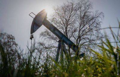МЭА сообщило об отставании ОПЕК+ в мае от плана по добыче нефти на 2,6 млн б/с