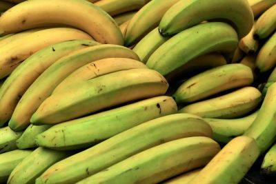 Почему немцам в супермаркете стоит остерегаться бананов из Бразилии