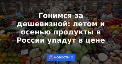 Гонимся за дешевизной: летом и осенью продукты в России упадут в цене