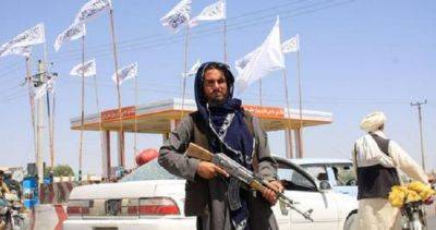Эксперты отметили разделение «Талибана» на кандагарскую и кабульскую группировки