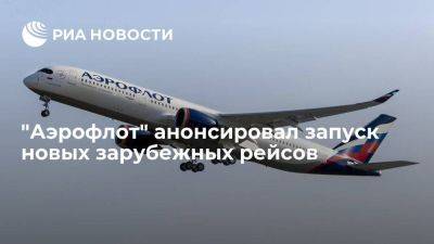 Глава "Аэрофлота" Александровский сообщил о планах запустить рейсы на Бали и в Гонконг