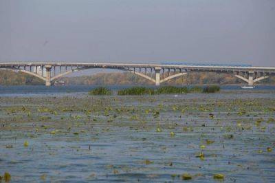 Госэкоинспекция: Химические показатели воды в реке Днепр в пределах нормы