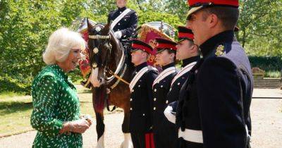 Камилла Паркер-Боулз - королева-консорт Камилла - король Чарльз III (Iii) - Королева Камилла продемонстрировала стильное платье в горох - focus.ua - Украина - Лондон