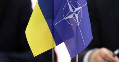 "Все смогут договориться": в НАТО могут упростить интеграцию для Украины