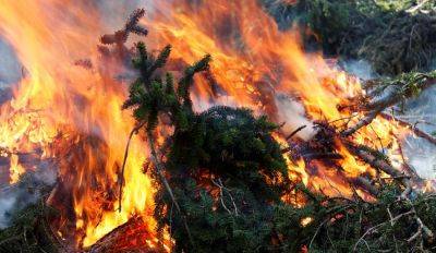 В Латвии полыхают лесные пожары: за сутки огонь уничтожил 21 гектар