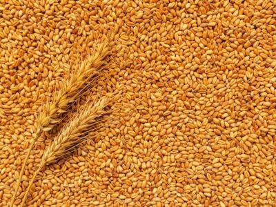 В Херсоне затопило склад с пшеницей стоимостью 15 млн грн