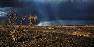 ОАЭ успешно испытали технологию искусственного дождя в пустыне