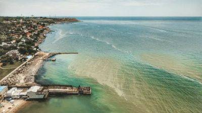Экологи о воде в Черном море: худшее еще впереди